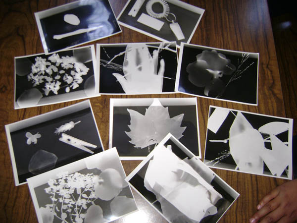 Photograms_April 2012_9667